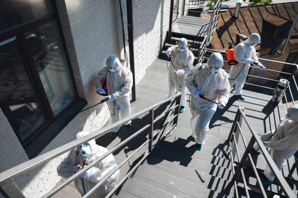 Best Industrial Mold Remediation  in Bayonne, NJ
