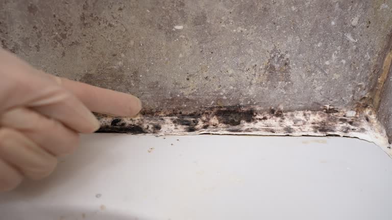 Best Mold Removal for HVAC Installations  in Bayonne, NJ
